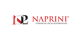 Logo Naprini